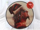 Santa's Going South For Christmas/Eagles Fly RSD BF19 Pictur By Sammy Hagar