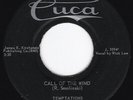 WI Exotica Popcorn TEMPTATIONS Call of the Wind / Bluer Blue 45 Cuca HEAR