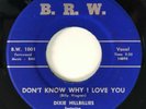 Bluegrass Bopper 45 / DIXIE HILLBILLIES / Don't Know Why I Love / B.R.W. / Hear