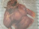 METALLICA - JUMP IN THE FIRE SHAPED PICTURE  VINYL RECORD