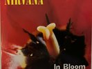 NIRVANA In Bloom/Sliver (Geffen GES 19087,NL 92) 7
