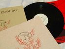 Graham Coxon - Crow Sit On Blood Tree -  DLP & Signed Insert Blur Transcopic