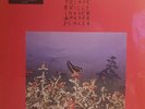 Transparent Red Vinyl LP BONNIE PRINCE BILLY I Made A Place  NEW / MINT / SEALED