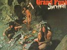 Grand Funk Railroad Survival NEAR MINT Capitol Records Vinyl LP