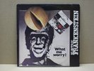 ELECTRIC FRANKENSTEIN - WHAT ME WORRY? - LP - 33 RPM - CRAMPS 1976