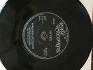the riot rockers (tennessee saturday night-some kinda earthquake) 45rpm