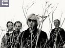 Tom Petty and the Heartbreakers - Echo - LP Vinyl - New