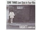 Vashti Bunyan Some Things Just Stick In Your Mind Singles & Demos 64-67 Vinyl LP