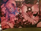 Mercury Rev All Is Dream Signed Vinyl
