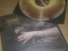 Lascar Wildlife Black Metal Panopticon MGLA Agalloch Caladan Brood