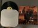 Go-Betweens - Tallulah.  Vinyl US True Tone Pressing