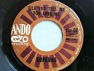 SUPERBS  Till You Tell Me You Love Me  ANDO 60's Northern Soul 45