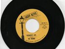 The Visions  Teenager's  Life / Little Moon  On  Lost Nite  M-  45