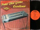 NEIL LIVINGSTON Pedal Steel Guitar Excellence PRIVATE/JAZZ/BLUES/EXOTICA Spokane