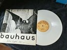 BAUHAUS 12