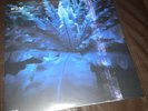 RARE Hum - Downward Is Heavenward Sealed Limited 180 Gram Blue 2LP Vinyl Record
