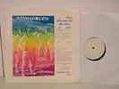 Grateful Dead Live - Mountains of The Moon   - Rock LP