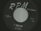 DOOWOP R&B ROCKERS- JEWELS - SHE'S A FLIRT  /  B.BOMB BABY  -HEAR - 1956 RPM