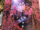 Captain Beefheart & His Magic Band 2 LP Grow Fins Vol. II Trout Mask Sessions