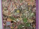 Stone Roses - So Young/Tell Me 12