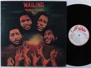 WAILING SOULS Wailing JAH GUIDANCE LP NM