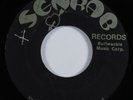 Reggae 45 JOHN CLARKE Pollution SENRAB HEAR