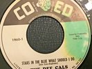 RARE THE DEE CALS on CO ED, STARS IN THE BLUE WHAT SHOULD I DO/A WONDERFUL DAY