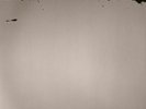 CORTINI, Alessandro - Risveglio - Vinyl (gatefold 2xLP)