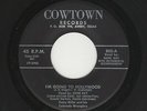 '60 Rockabilly/C&W GENE RAY I'm Going To Hollywood COWTOWN 802 VG+ HEAR NOW