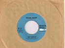 THE TURTLES Outside Chance b/w We'll.... 45 RPM 1966 White Whale WW-234 Vinyl EX