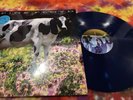 Pink Floyd KQED Lulubelle III TMOQ-SF70