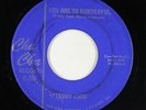 Sweet Soul 45 - Teddy Cash - You Are So Wonderful - Cha Cha - mp3