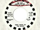 First Crow to the Moon-The Sun lights up the Shadows of your Mind- Promo HEAR