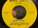 James And The James Gang And You Rare Garage Psych Folk 45rpm