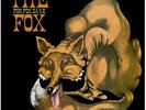 FOR FOX SAKE