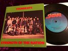 RARE 1979 TEENBEATS STRENGTH OF THE NATION 7