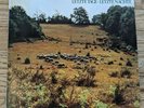 Popol Vuh - Letzte Tage   Letzte Nachte 1976 Original Germnan Press