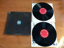 CHICAGO Chicago Transit Authority Dbl LP Vinyl 1969 Orig Terry Kath Peter Cetera