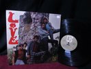 PLAYER '66 Orig LOVE 1st ? GARAGE FUZZ Psych ? ARTHUR LEE WEST COAST PUNK SHAKER