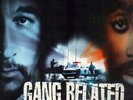 Daz Dillinger, Ice Cube, 2Pac a.o. Gang Related - The Soundtrack Vinyl LP-Box