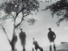 Josef K - Sorry For Laughing LP Clear Vinyl New /500
