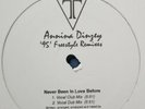 Annina Dinzey-Never Been In Love Before 12