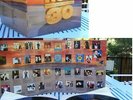 NOW THAT'S WHAT I CALL MUSIC No 30  2xLP UK1995 OASIS PORTISHEAD STING EX+