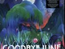 GOODBYE JUNE: MAGIC VALLEY (LP vinyl *BRAND NEW*.)