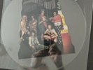 Dread Zeppelin stairway to heaven Uncut Shaped Picture Disc vinyl