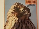 Blackfoot, Marauder, Original Release Vinyl LP Record Album, Pristine Condition
