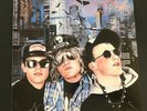 The Stupids - Van Stupid UK 1987  Hardcore Punk Napalm Death NM
