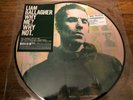LIAM GALLAGHER - WHY ME? WHY NOT? - VINYL PICTURE DISC - LIMITED EDITION - NEW
