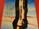 The Kinks   