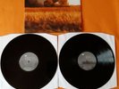 LP  BAP  AFF UN ZO Vinyl  Doppel Album
